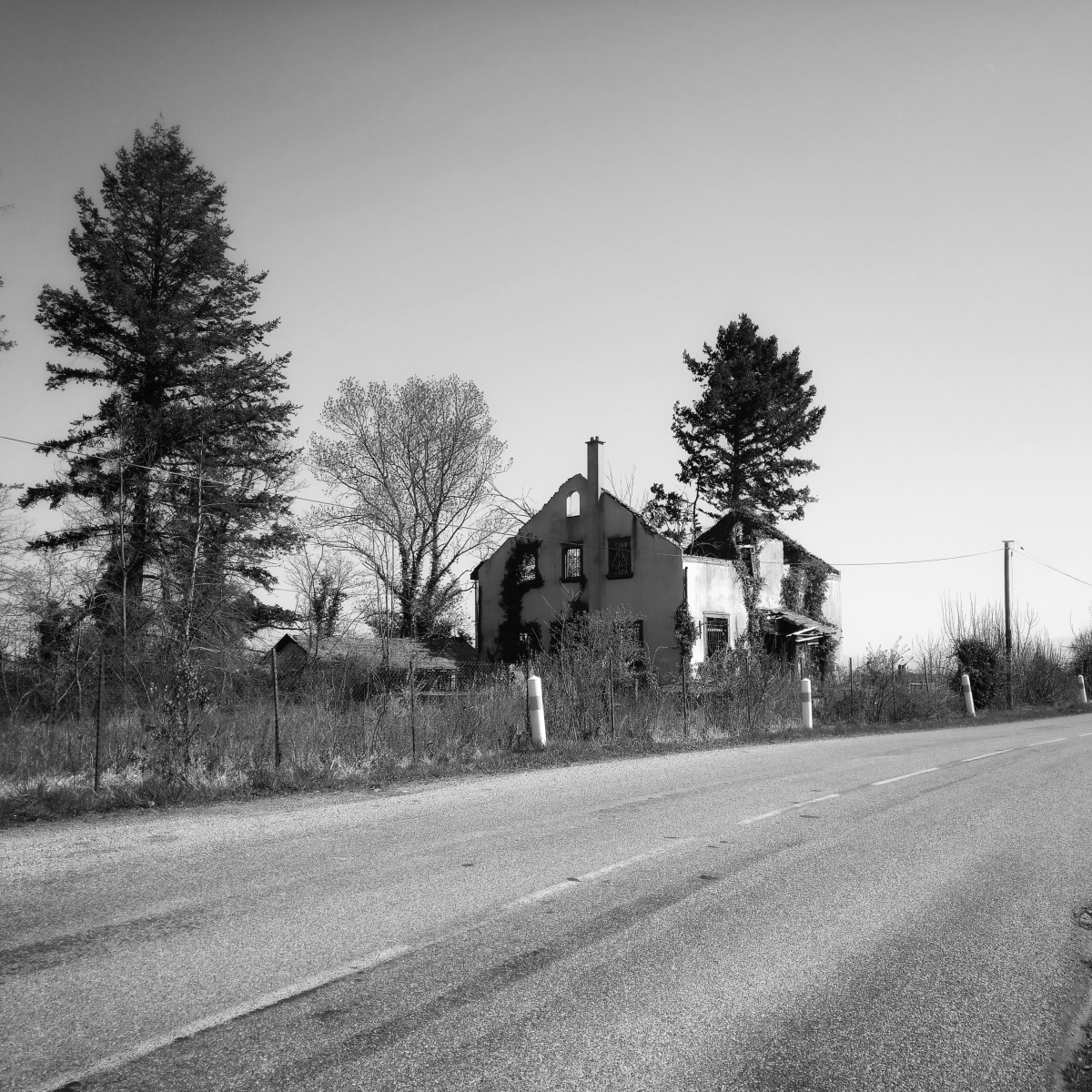 IMG_20250402_120251-06