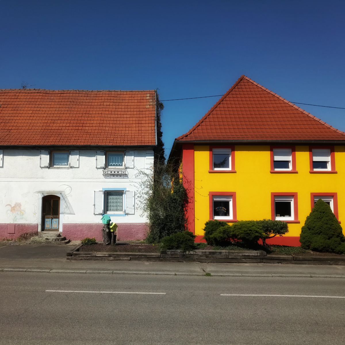 IMG_20250402_121844-01