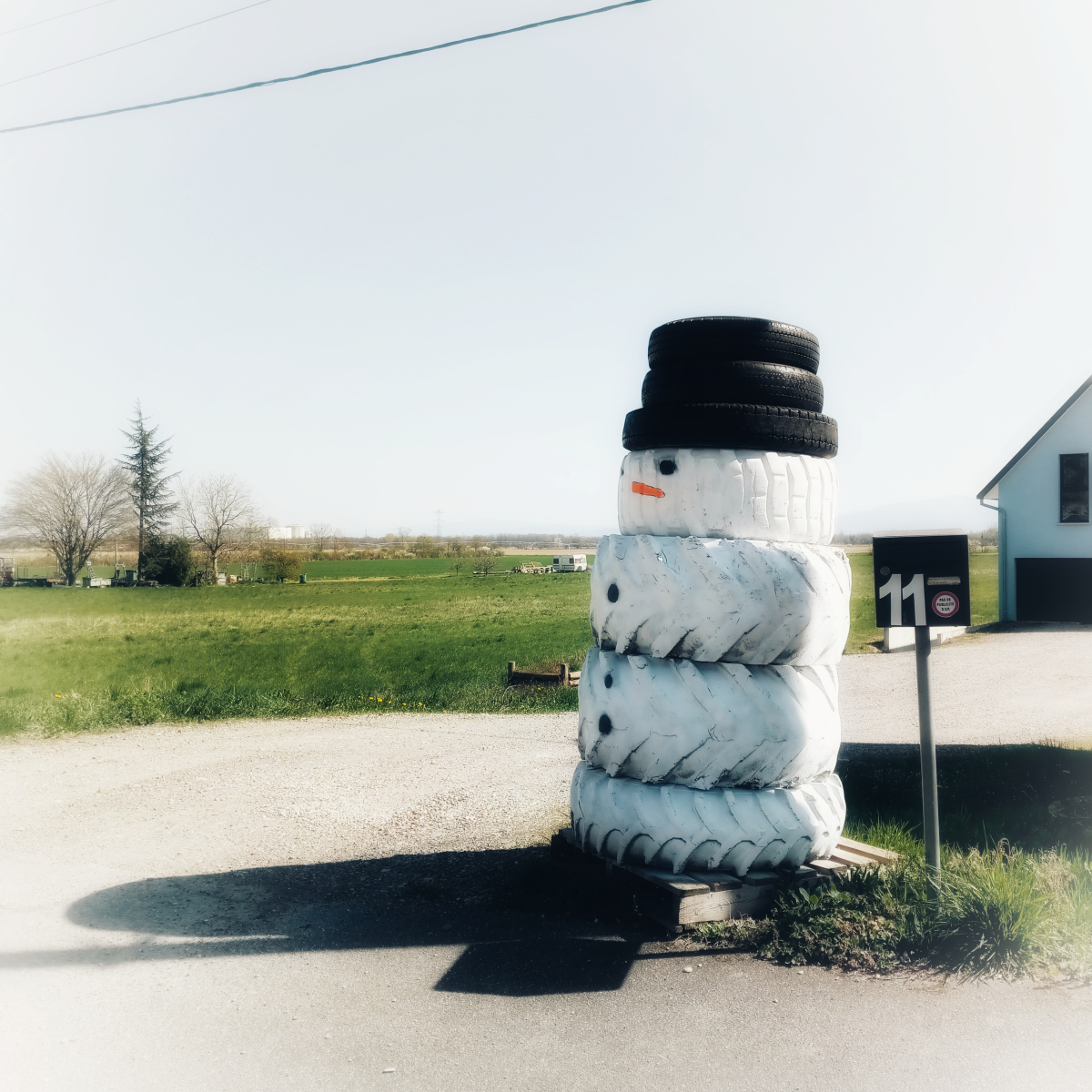 IMG_20250402_122105-01