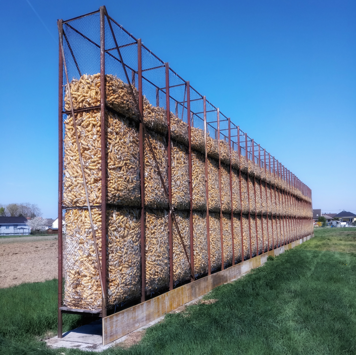 IMG_20250402_123356-01