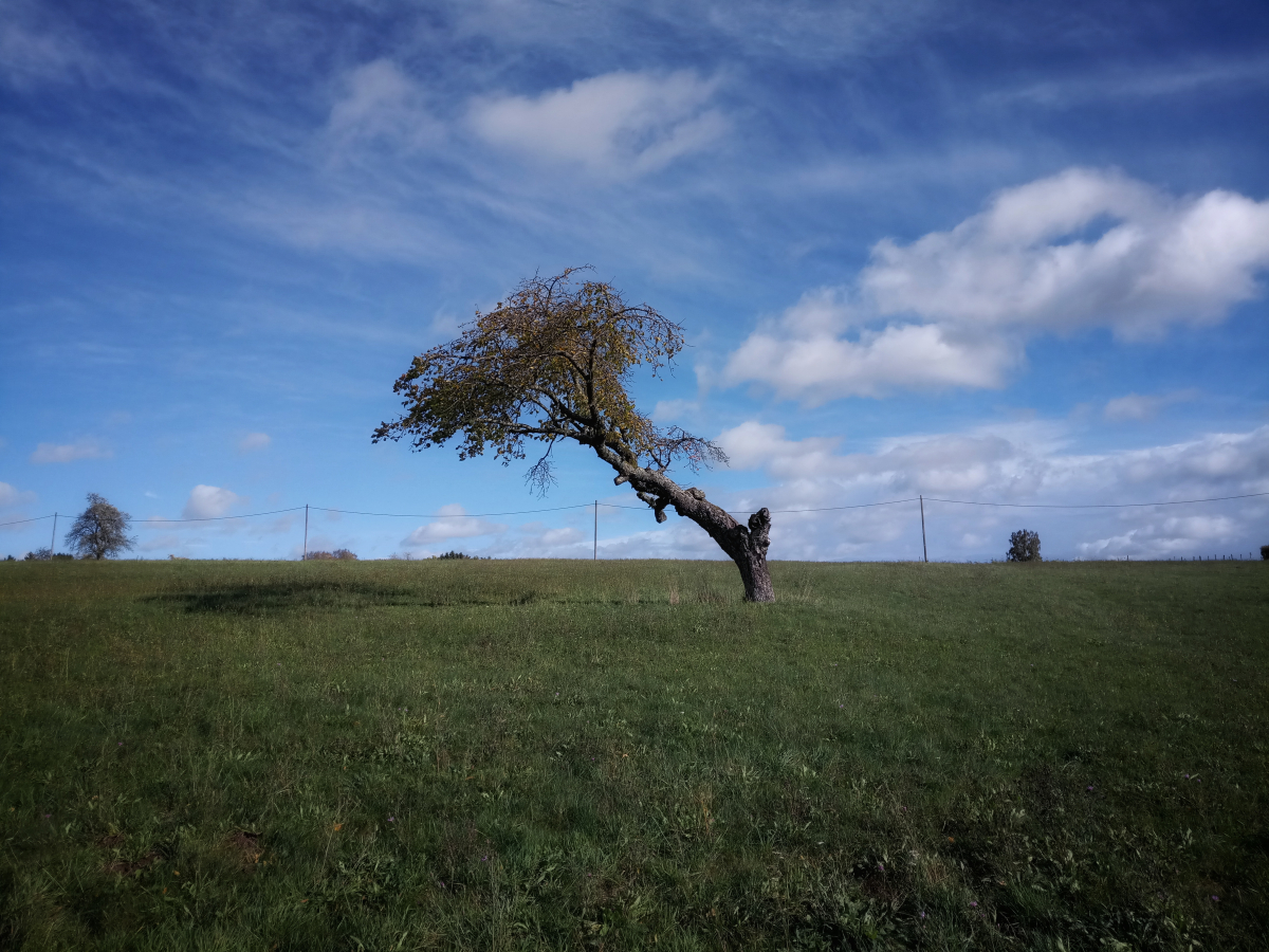 IMG_20251023_120604-01